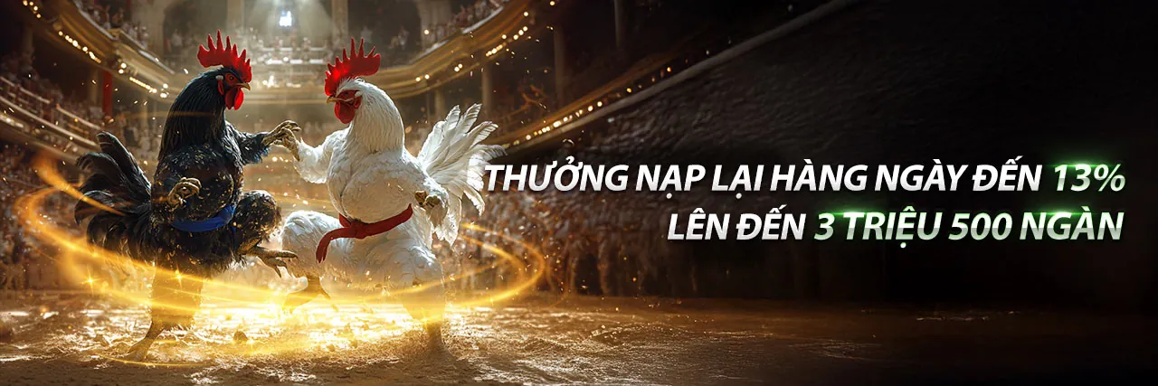 Sân đá gà sôi động tại Soi69 Code